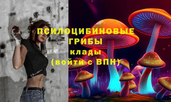 не бодяженный Карпинск
